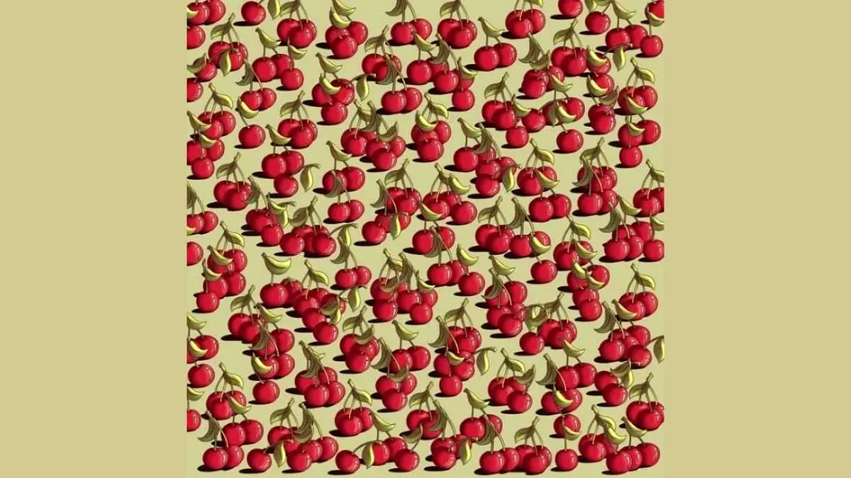 تست-بینایی-یافتن-گوجه-فرنگی-بین-گیلاس_ها