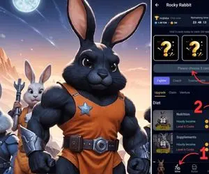 کارت های امروز راکی رابیت (rocky rabbit) یکشنبه ۴ شهریور + آموزش