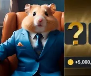 کارت های همستر کامبت امروز پنج شنبه 8 شهریور + آموزش