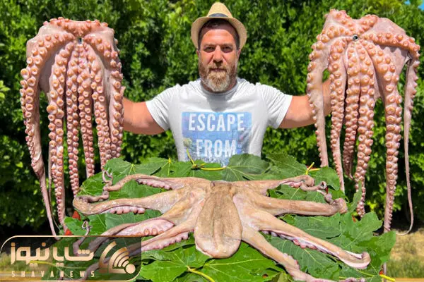 strange food shayanews