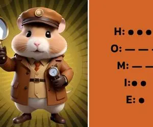 کد مورس همستر کامبت امروز جمعه 9 شهریور + آموزش ویدیویی