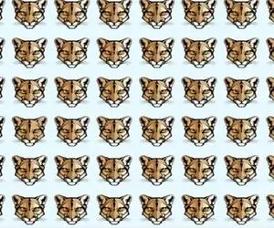 بازی فکری؛ دید فرا انسانی میخواد پیدا کردن ببر متفاوت و گرفتن بیگ لایک برای هوشت