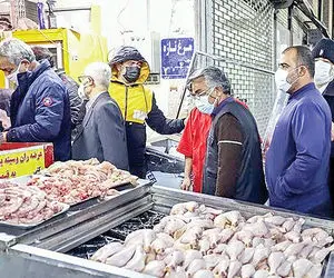 قیمت جدید مرغ در بازار ۲۲ آبان ۱۴۰۳/ شهروندان مرغ بالاتر از این قیمت نخرند