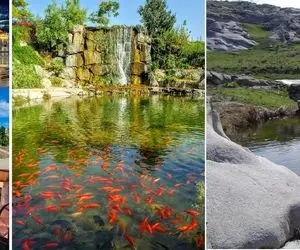 معرفی بهترین پارک‌ های مشهد / گذران وقت در آرامش و سرسبزی بی نظیر