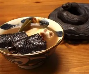 طرز تهیه سوپ مار / پیتون بزرگ زنده تو ظرف جوشانده میشه تا بپزه و بشه سوپ +ویدیو